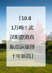 10.81万吨！武汉阳逻港直航货运量创十年新高