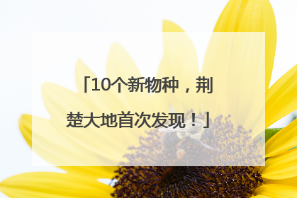 10个新物种，荆楚大地首次发现！
