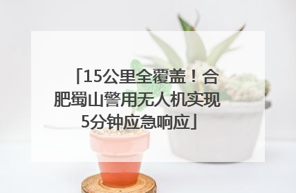 15公里全覆盖！合肥蜀山警用无人机实现5分钟应急响应