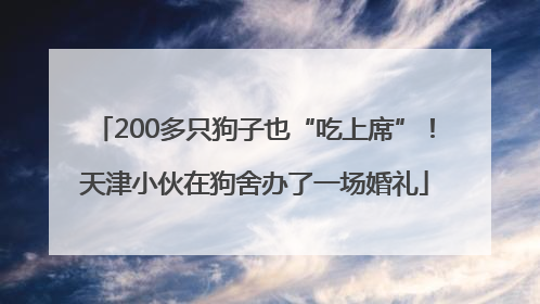 200多只狗子也“吃上席”！天津小伙在狗舍办了一场婚礼