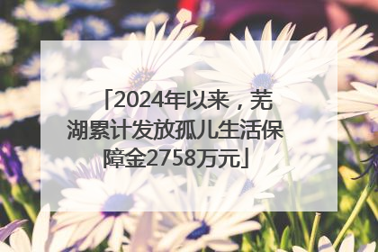 2024年以来，芜湖累计发放孤儿生活保障金2758万元