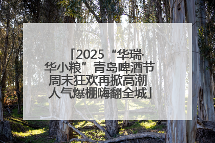 2025“华瑞·华小粮”青岛啤酒节周末狂欢再掀高潮 人气爆棚嗨翻全城