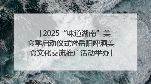 2025“味道湖南”美食季启动仪式暨岳阳啤酒美食文化交流推广活动举办