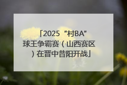2025“村BA”球王争霸赛（山西赛区）在晋中昔阳开战