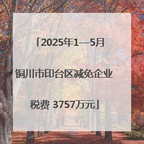 2025年1—5月铜川市印台区减免企业税费 3757万元