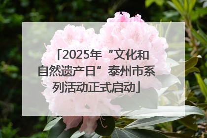 2025年“文化和自然遗产日”泰州市系列活动正式启动