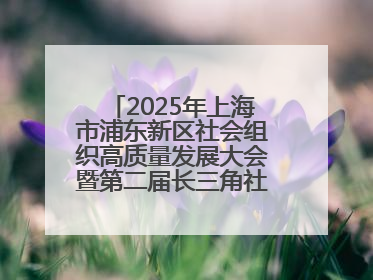 2025年上海市浦东新区社会组织高质量发展大会暨第二届长三角社会组织高质量发展峰会成功举办