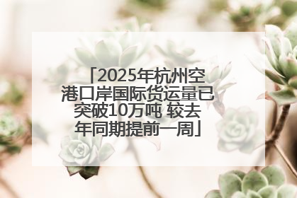 2025年杭州空港口岸国际货运量已突破10万吨 较去年同期提前一周