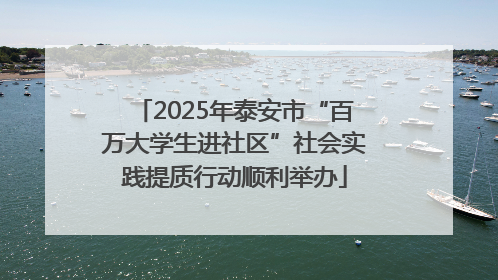 2025年泰安市“百万大学生进社区”社会实践提质行动顺利举办