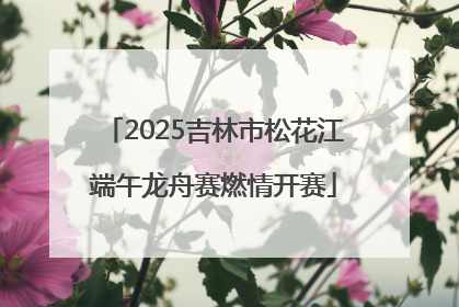 2025吉林市松花江端午龙舟赛燃情开赛