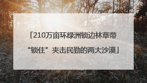 210万亩环绿洲锁边林草带“锁住”夹击民勤的两大沙漠