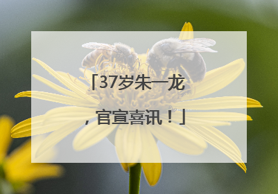 37岁朱一龙，官宣喜讯！