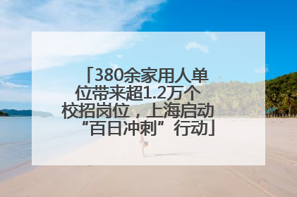 380余家用人单位带来超1.2万个校招岗位，上海启动“百日冲刺”行动