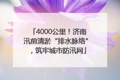 4000公里！济南汛前清淤“排水脉络”，筑牢城市防汛网