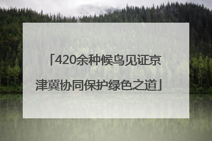 420余种候鸟见证京津冀协同保护绿色之道