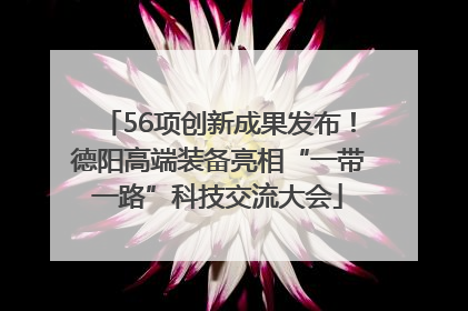 56项创新成果发布！德阳高端装备亮相“一带一路”科技交流大会