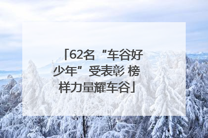 62名“车谷好少年”受表彰 榜样力量耀车谷