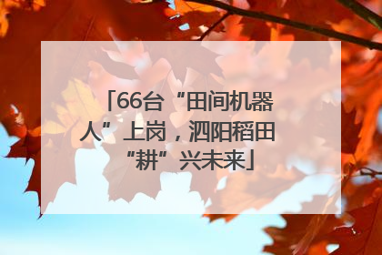66台“田间机器人”上岗，泗阳稻田“耕”兴未来