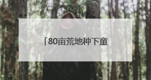 80亩荒地种下童话，珠海这对夫妻“为了家乡我愿意”
