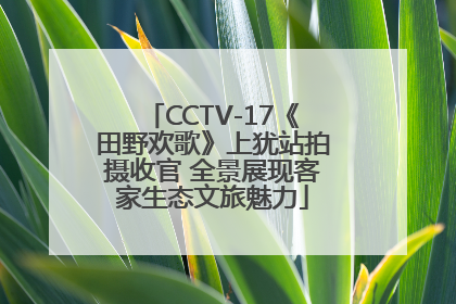 CCTV-17《田野欢歌》上犹站拍摄收官 全景展现客家生态文旅魅力