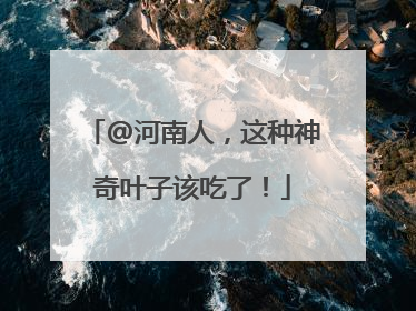 @河南人，这种神奇叶子该吃了！