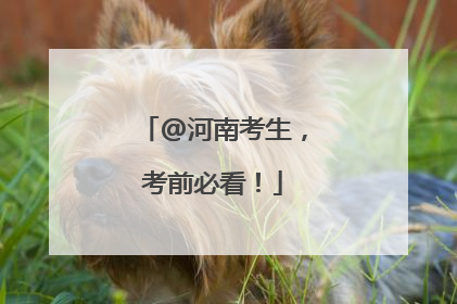 @河南考生，考前必看！