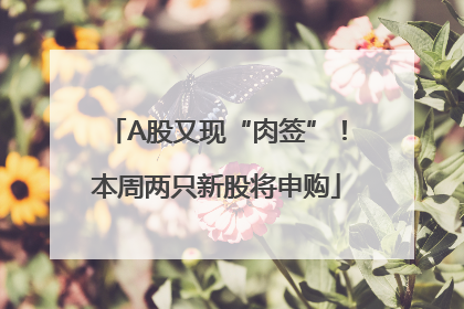 A股又现“肉签”！本周两只新股将申购