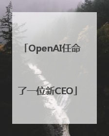 OpenAI任命了一位新CEO