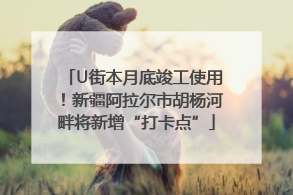 U街本月底竣工使用！新疆阿拉尔市胡杨河畔将新增“打卡点”